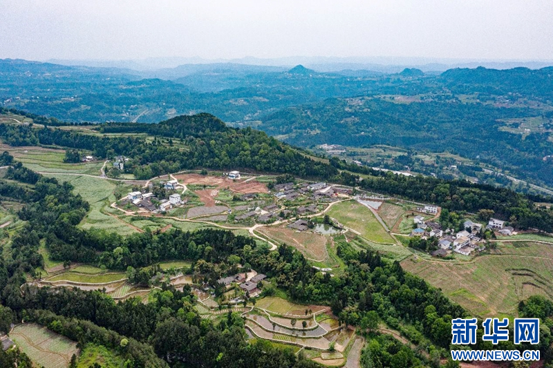 组图｜以绿色生态为切入点 四川平昌绘就乡村振兴美丽画卷新华网