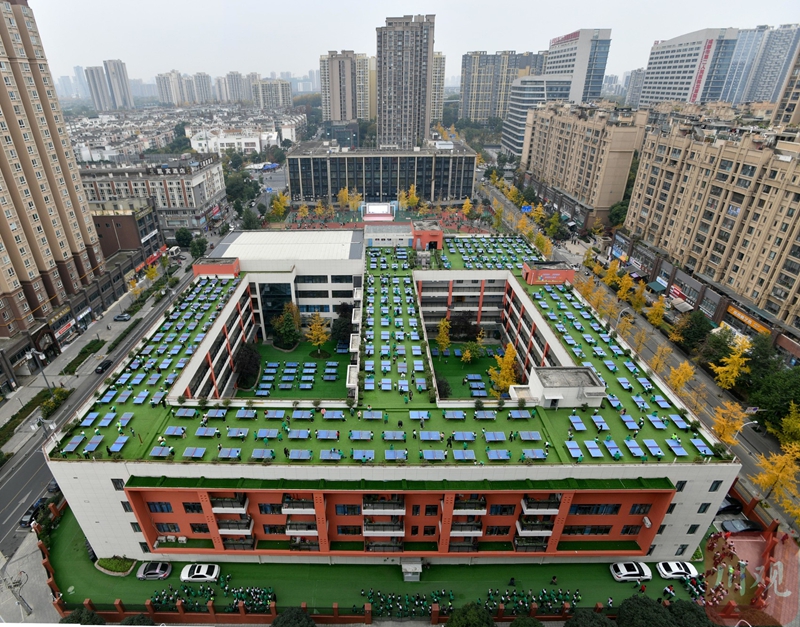 天博体育入口“乒”动成都 国际乒联混团世界杯助力成都打造乒乓球世界赛事名城(图6)