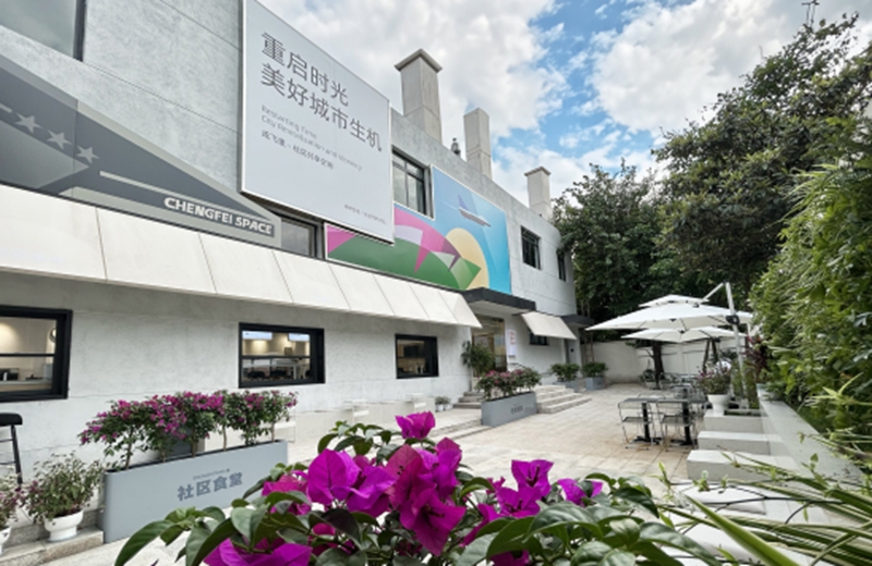成都青羊区:解决群众“心头事” 2024年100项民生实事全部完成-新华网