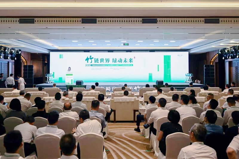 sunbet竹基复合材料科技创新与产业发展技术交流暨竹产业高|BILIBILI可