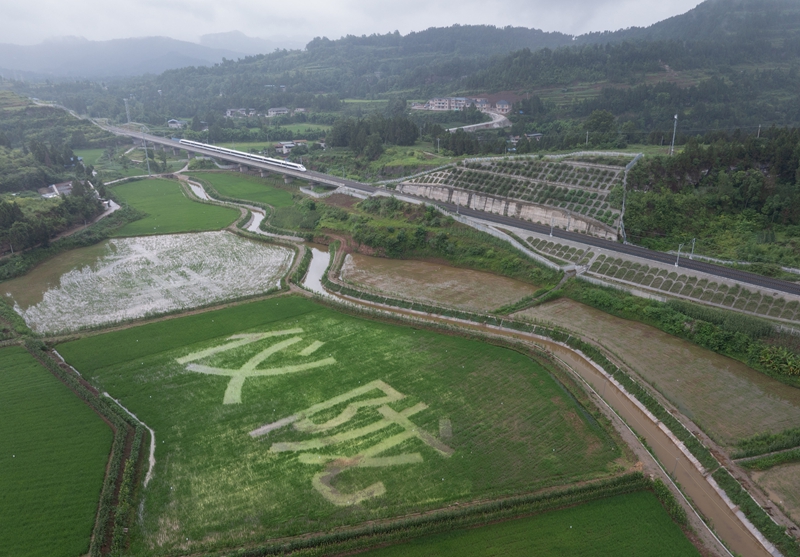 新华语典·“典”读四川｜千年绸都织新锦——四川南充高质量发展观察(图5)