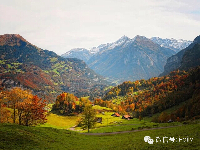 美到六亲不认的晚秋