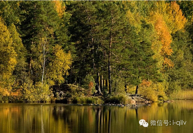 美到六亲不认的晚秋