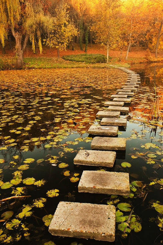 美到六亲不认的晚秋