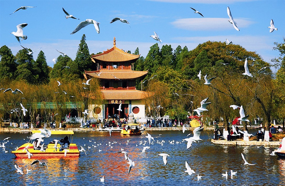 成都到这些城市机票掉到白菜价了 还不走起?