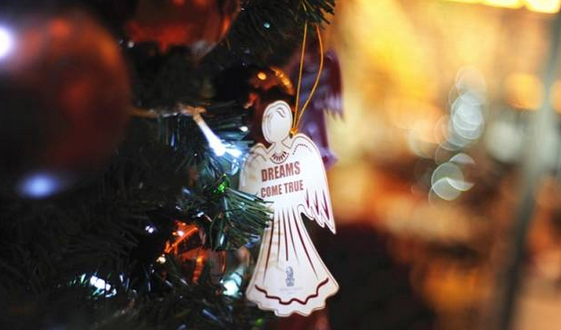 成都圣诞树大PK 你想和哪棵合影?