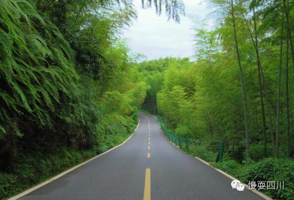 来四川必须去蜀南竹海洗洗肺 徒步旅游全攻略