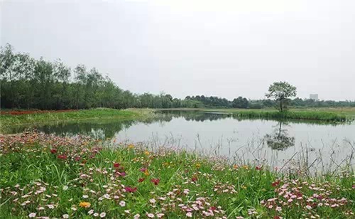 到成都最美公园去散步吧