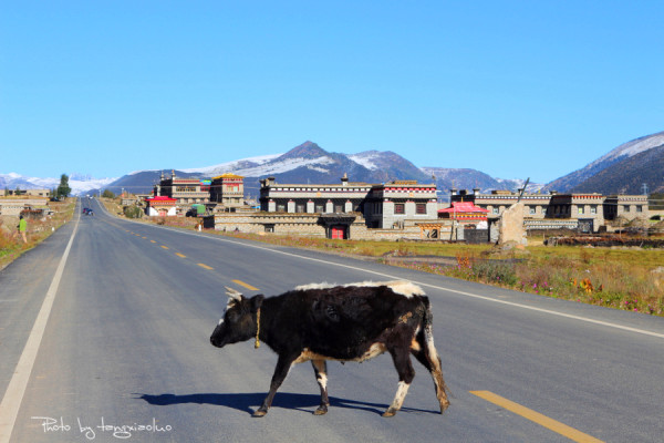 路在何方 路在脚下