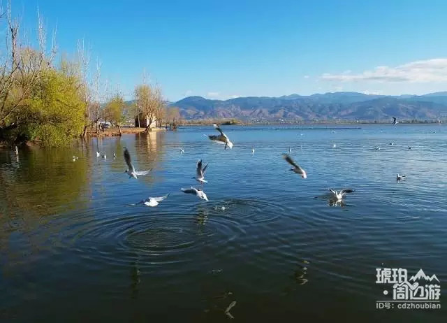 春节自驾游去西昌晒太阳 雅西高速景点看过来