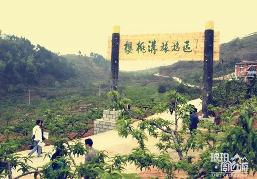 除了青白江凤凰湖 成都还有哪些看樱花的地方