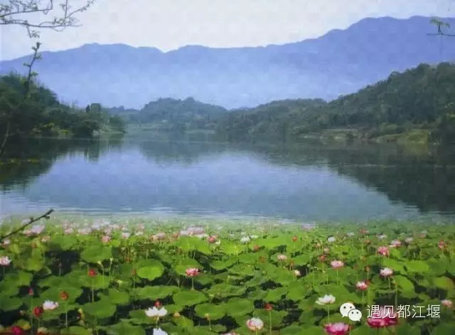 向峨乡位于都江堰市区东北部 ,其境内莲花湖,调控著这块土地的温度
