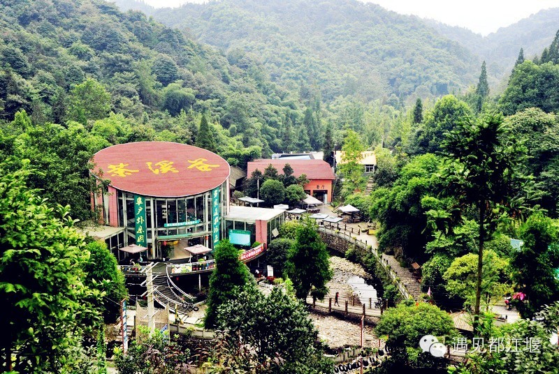 春茶蹭蹭长 都江堰向峨茶溪谷进入一年最好玩