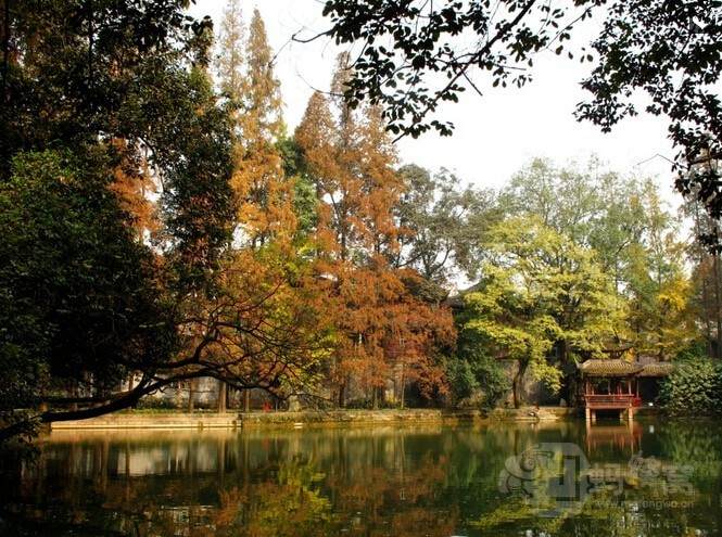 崇州竟有这么多好耍的!