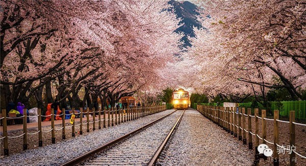 如果有机会 一定要和TA走走这20条曼妙林荫小