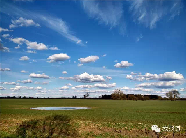 春天德国踏青 不用滤镜不PS让文字歇会让照片