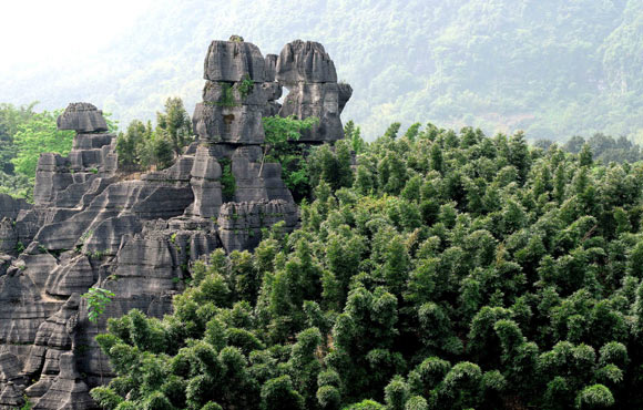 中国宜宾长宁蜀南竹海全国摄影大赛