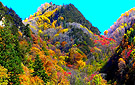 阿坝州黑水县：黑水·冰山彩林节宣传片