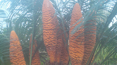 新华网四川_邻水