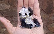 南非插画师绘掌上3D世界 栩栩如生