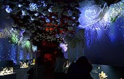 日本东京水族馆营造圣诞气氛