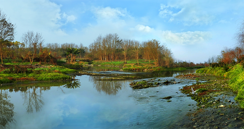 杨柳河口湿地
