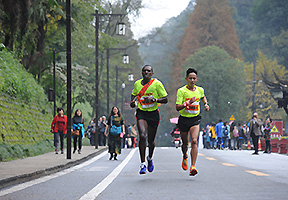 骏马开道 都江堰双遗马拉松接力赛魅力开赛