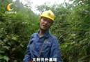 大山里孤独坚守的电力巡线队