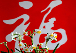 花鸟鱼虫闹新春