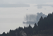 三岔湖春光