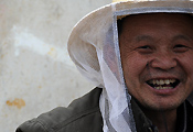 中国“蜂”景２８：握手养蜂人