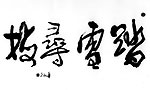 踏雪寻梅