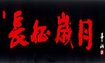 长征岁月