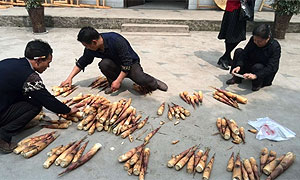 乐山夹江苦笋种出“甜味道”
