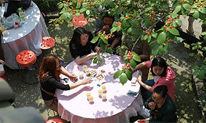 2016蒲江樱桃节4月20日开幕