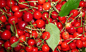 蒲江樱桃节开幕&ldquo;卖萌&rdquo;