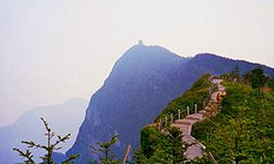 峨眉山景区开展为期2个月的旅游市场综合整治