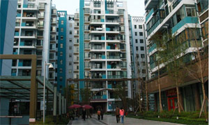 武侯区新城社区开展“两学一做”进院落 切实服务群众