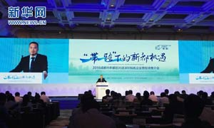 2016成都市新都区对话深圳知名企业暨投资推介会举行