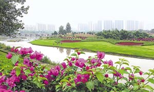 峨眉山市抓紧美化城市环境 加快旅博会配套项目建设