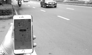 新华网四川_乐山