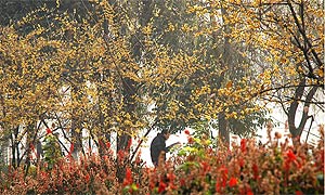 成都理工大學校慶六十周年倡議書