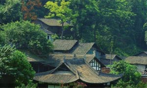 武胜旅游扶贫绘就乡村新画卷