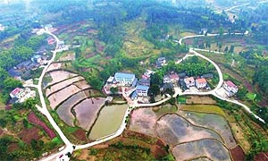 武胜县烈面镇高峰村突出项目带动 加快脱贫步伐