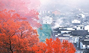 清洁我们的村庄 四川首创垃圾分类罗江模式