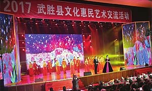 武胜文化惠民艺术交流活动精彩上演