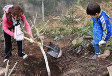 春来植新绿 生态环境建设从自己做起