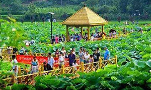 德阳将建433平方公里健康谷