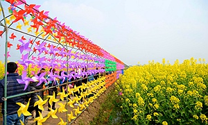 什邡市第二届“泉语花香”乡村文化旅游节启幕