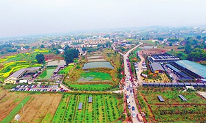 广安武胜：乡村旅游线路 供给体验特色多